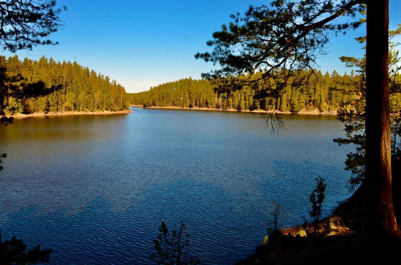 Lake And Forest Hideaway Arjang Ngoại thất bức ảnh